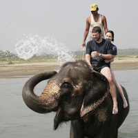 Elephant excitement in Sri Lanka