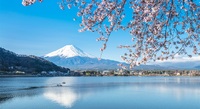 Top Five: Places to view Japan’s iconic cherry blossom 